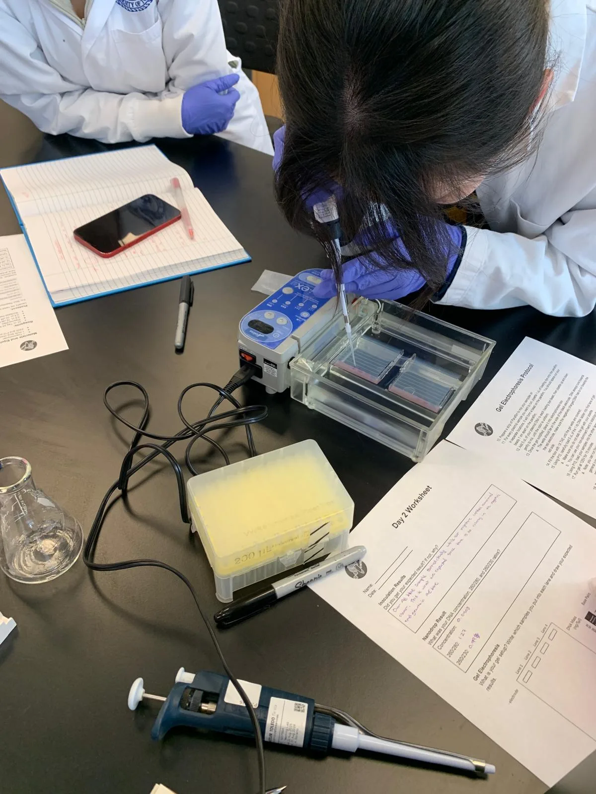 SynPEC cloning workshop, spring 2024