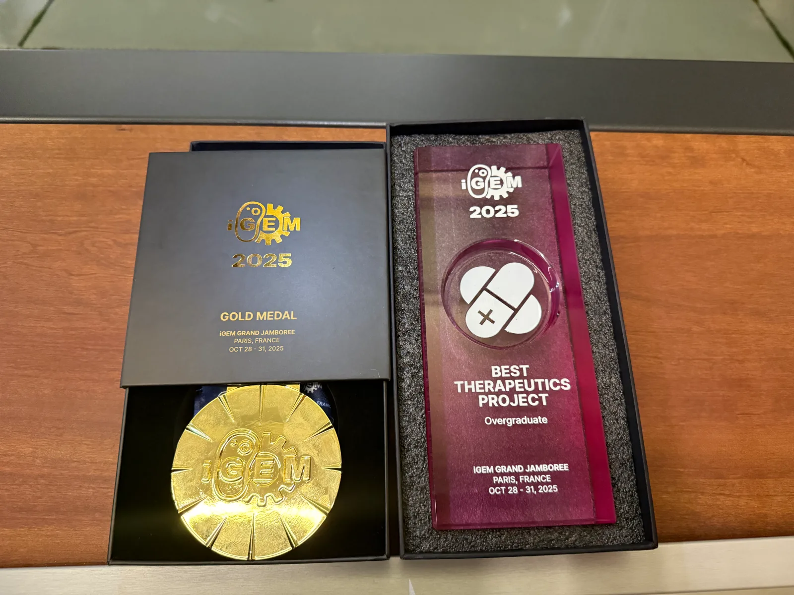 Grand Jamboree 2025 — Gold Medal and Best Therapeutics Project