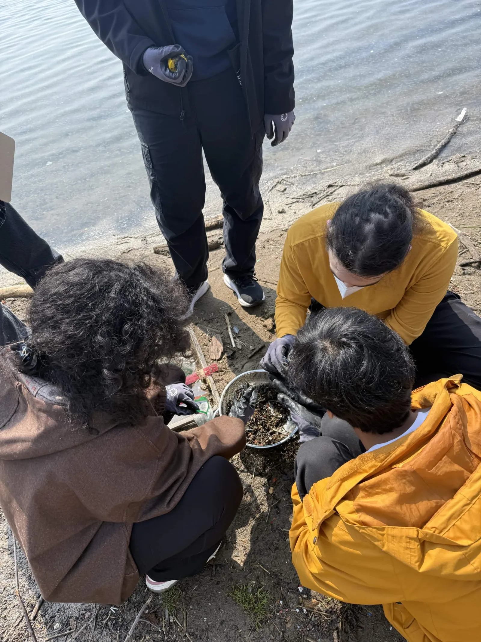 Examining a collected sample of shoreline debris