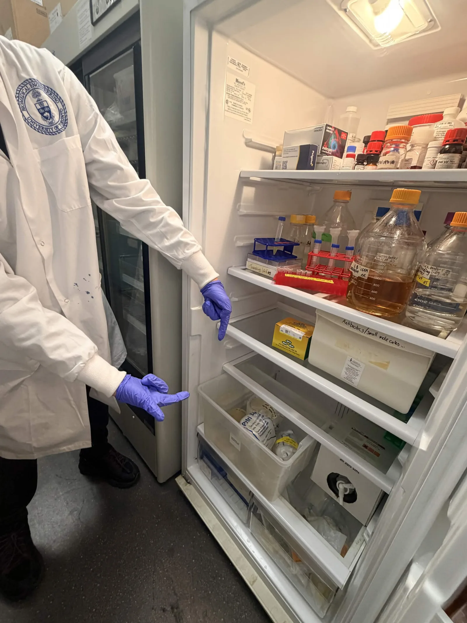 Researcher retrieves reagents from the fridge in the BME teaching lab, June 2026