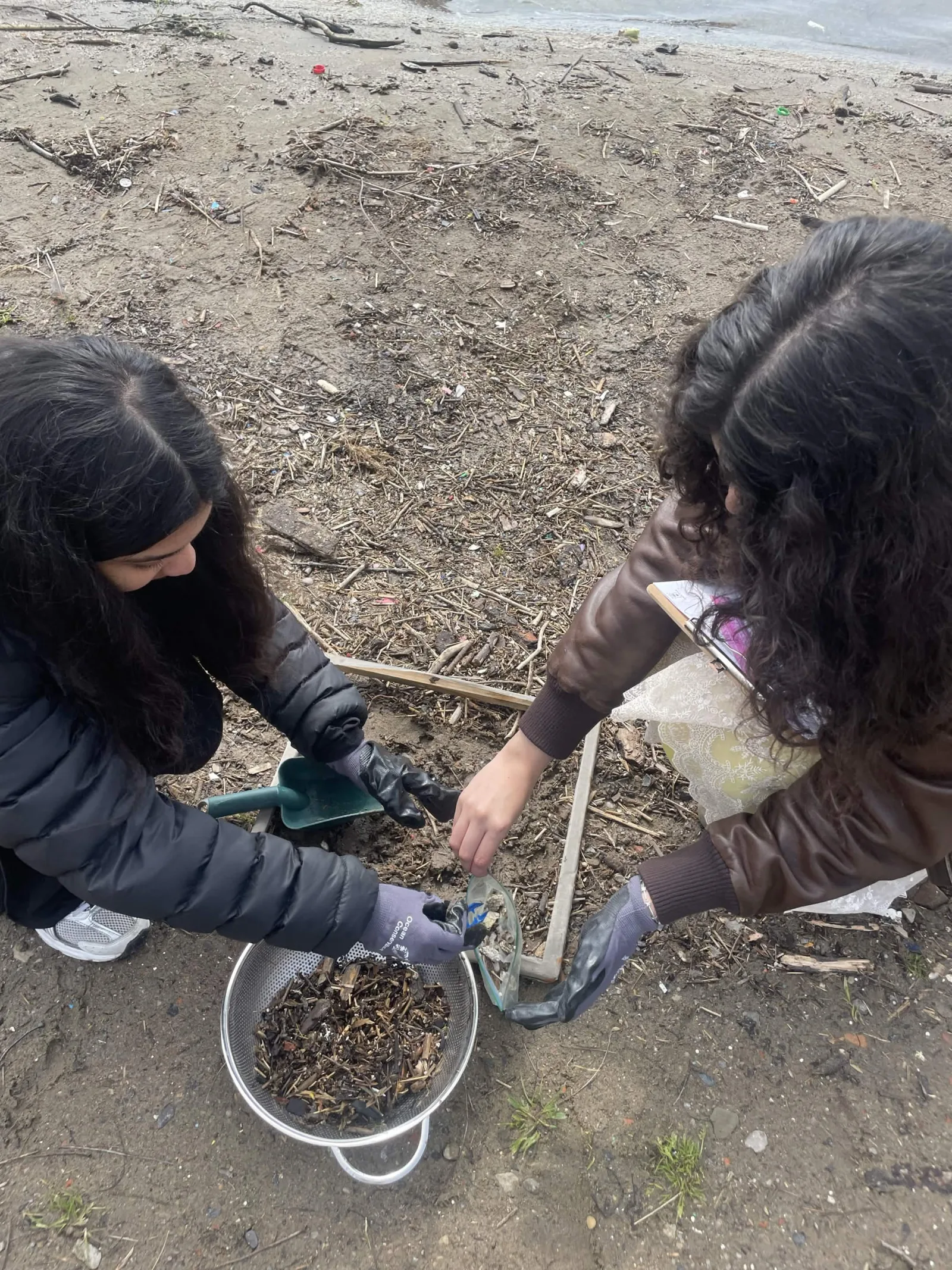 Sorting shoreline debris during a cleanup