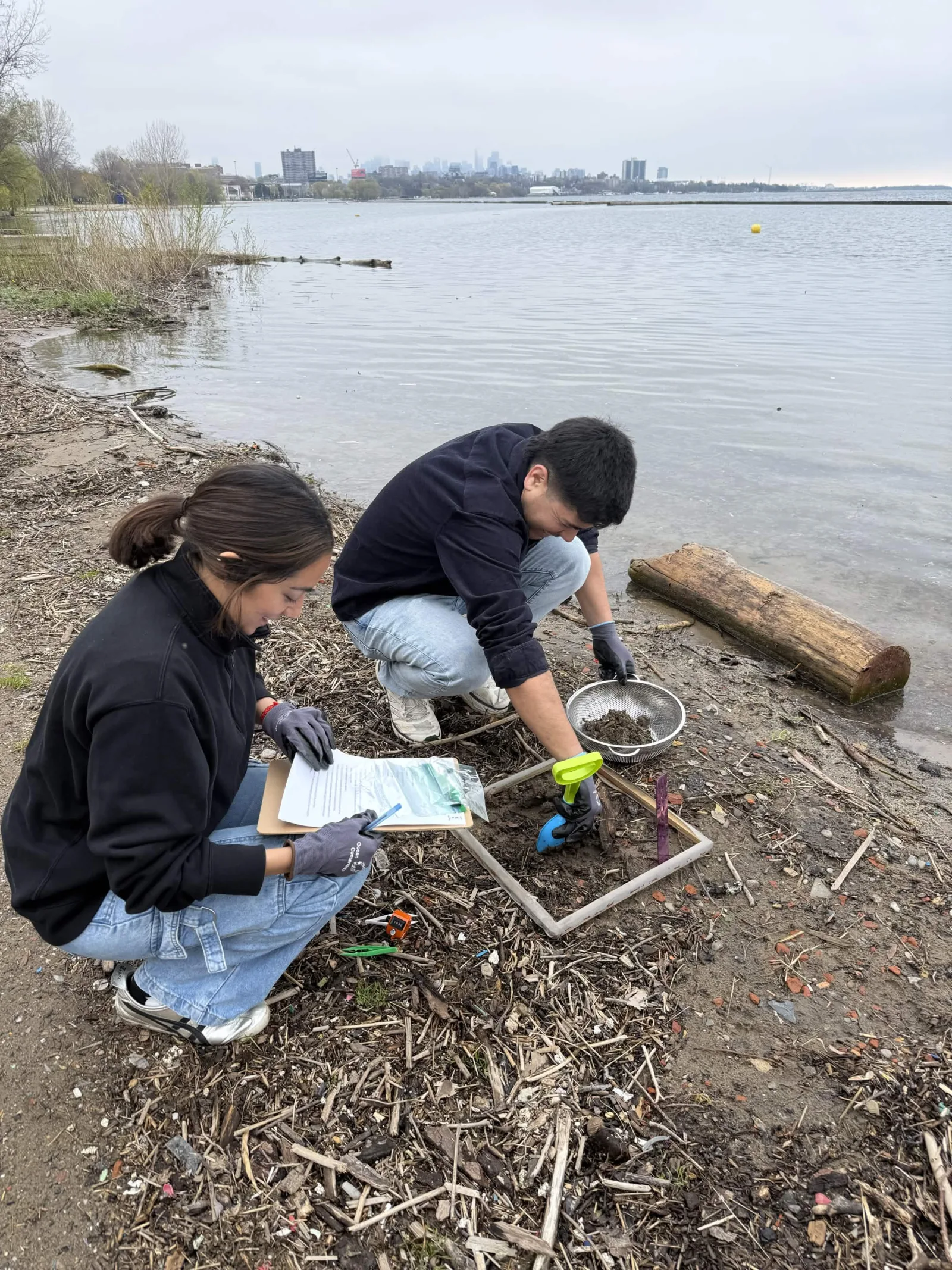Collecting shoreline samples with a city skyline in view