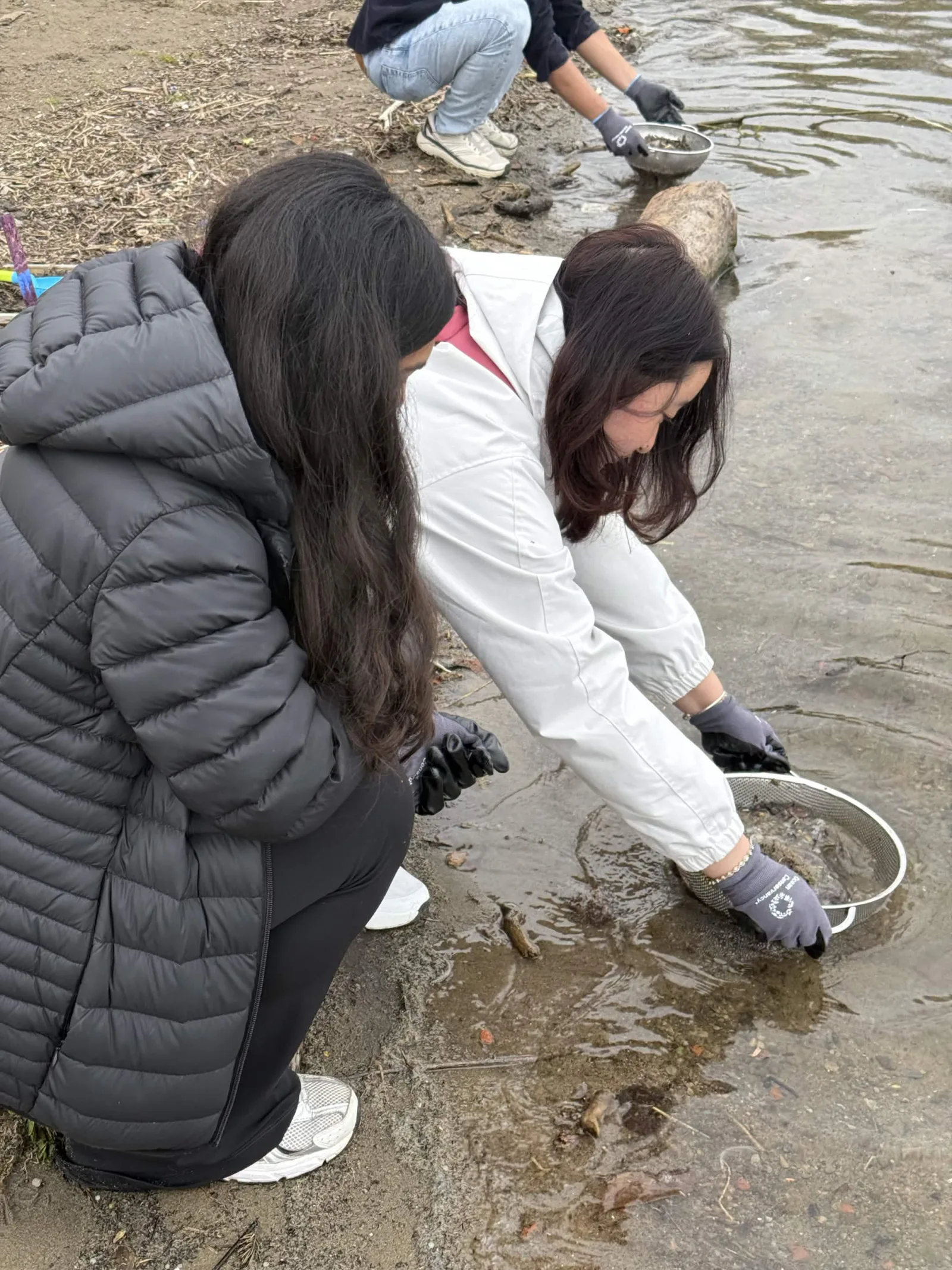 Sieving samples at the water's edge